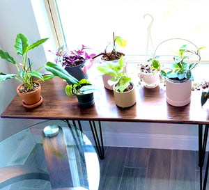 Window Plant Table With Metal Hair PIN Legs by Mindful Creations Woodworking